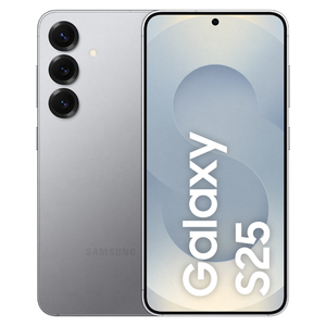 Samsung Galaxy S25 S931 12/256Gb Silver