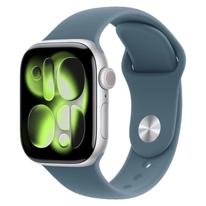 Apple Watch S11 42 Silver(M/L) 🇺🇸